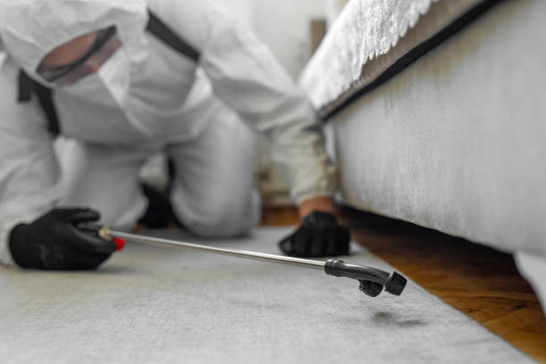 Professional Bed Bug Control technician working in Iota, LA